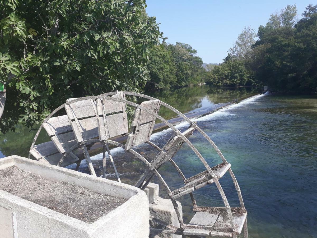 Mas Et Gite De La Picholine L'Isle-sur-la-Sorgue Bagian luar foto