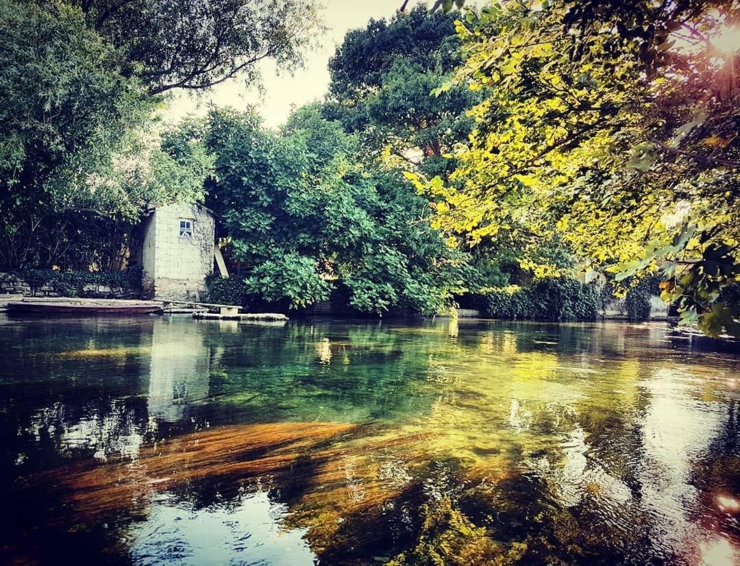 Mas Et Gite De La Picholine L'Isle-sur-la-Sorgue Bagian luar foto